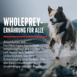 Orijen Dog Fit & Trim | 2 kg