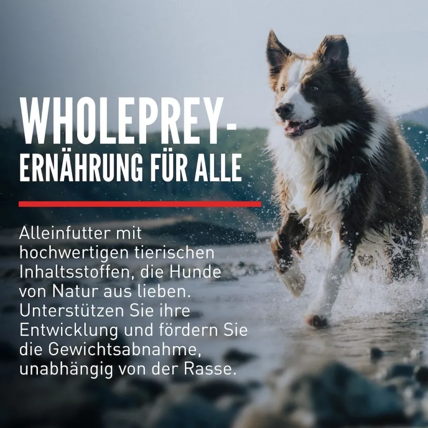 Orijen Dog Fit & Trim | 2 kg