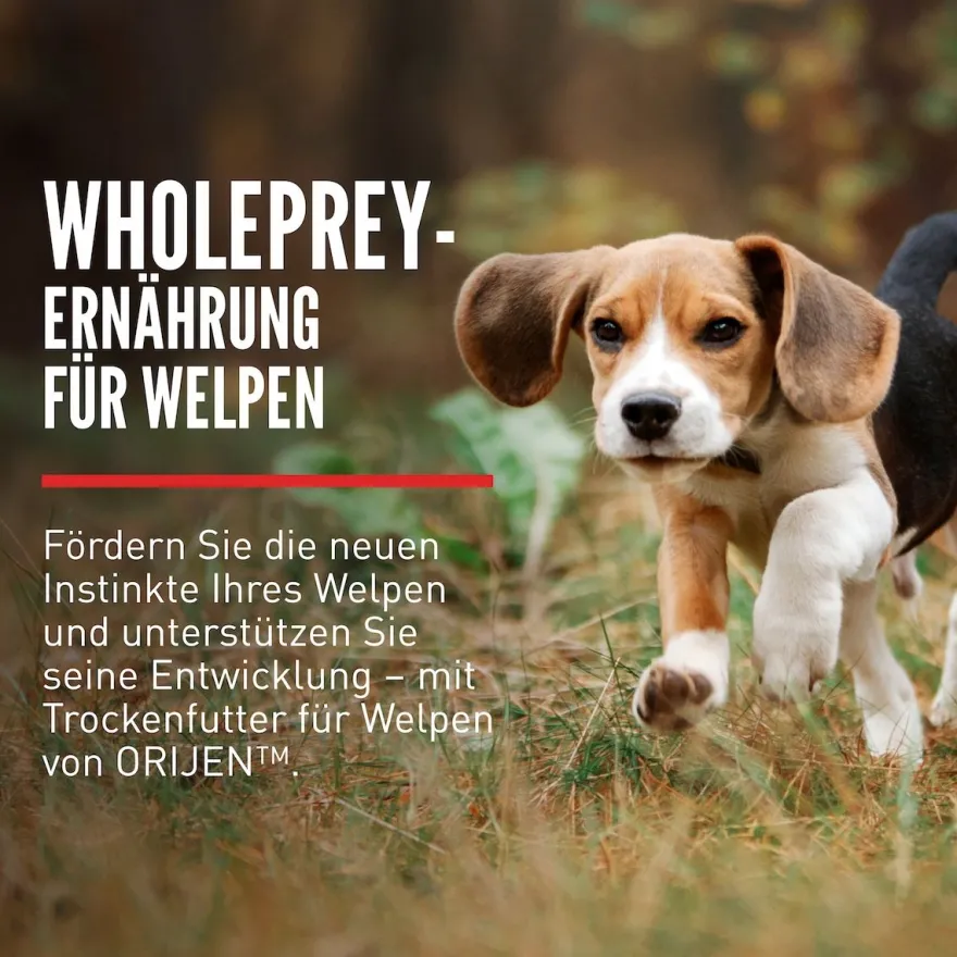 Orijen Dog Puppy | 2 kg