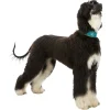 TRIXIE Active Comfort Halsband für Windhunde, Leder, petrol/gelb | S–M: 33–42 cm/60 mm