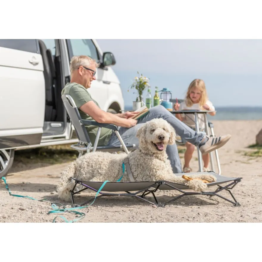 TRIXIE Camping-Bett für Hunde, beige/schwarz | 120 × 22 × 60 cm