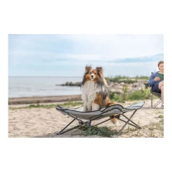 TRIXIE Camping-Bett für Hunde, dunkelgrau/schwarz | 69 x 20 x 69 cm