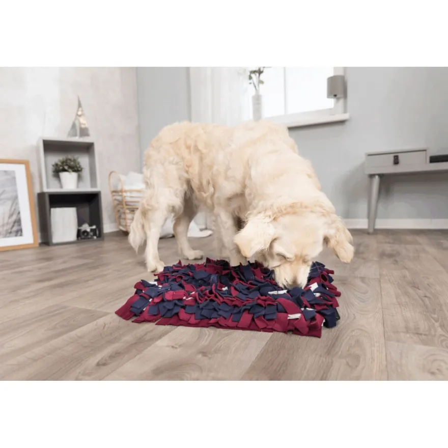 TRIXIE Dog Activity Strategie-Spiel Schnüffelteppich | 50 x 34 cm