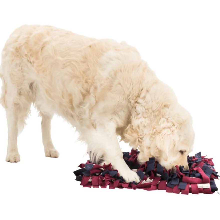 TRIXIE Dog Activity Strategie-Spiel Schnüffelteppich | 50 x 34 cm