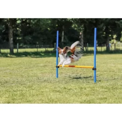 TRIXIE Fun Agility Hürde, blau/orange | 113 × 110 cm, ø 3 cm