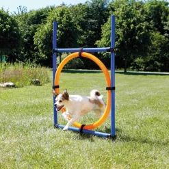 TRIXIE Fun Agility Ring, blau/orange | 115 × ø 3 cm, ø 65 cm