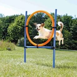 TRIXIE Fun Agility Ring, blau/orange | 115 × ø 3 cm, ø 65 cm