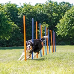 TRIXIE Fun Agility Slalom, Kunststoff, blau/orange, 12 Stück | ø 3 x 115 cm