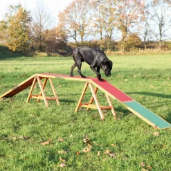 TRIXIE Fun Agility Steg | 456 x 64 x 30 cm