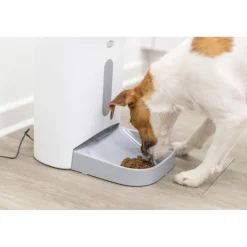 TRIXIE Futterautomat TX8 2.0, weiß/grau | 4.5 l