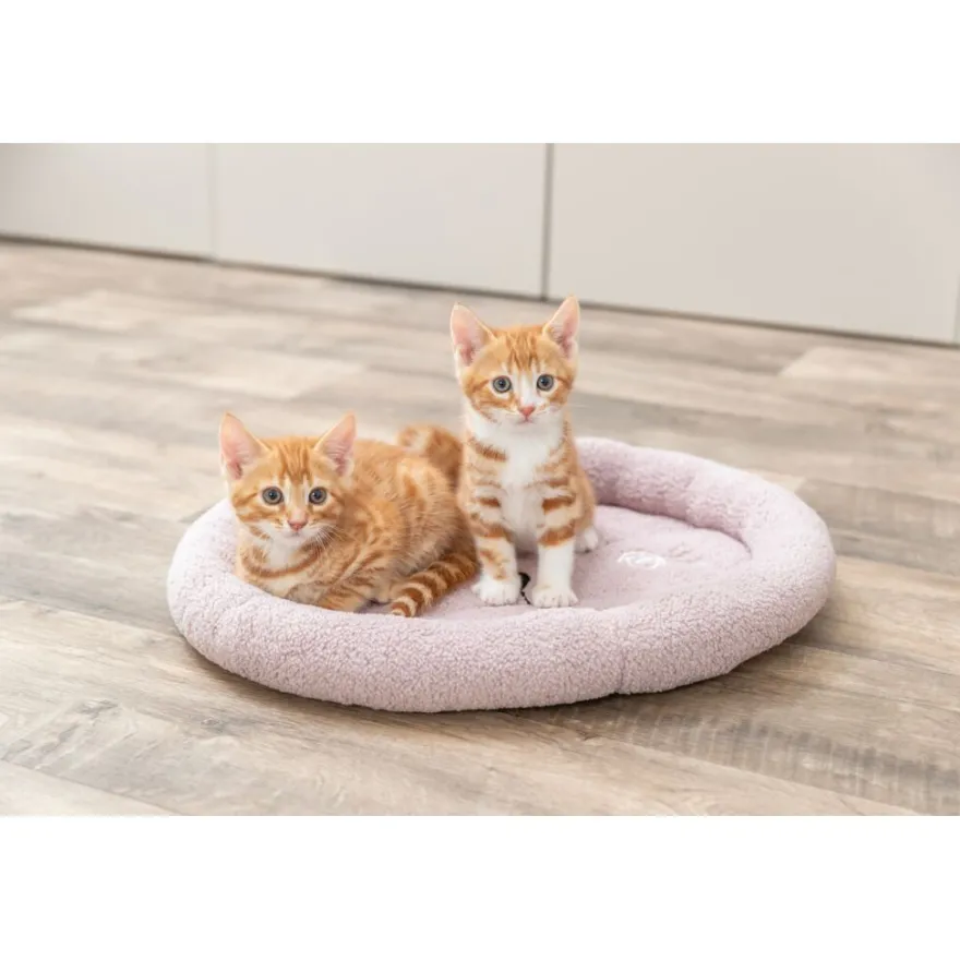 TRIXIE Junior Bett Katze, flieder | 50 × 40 cm