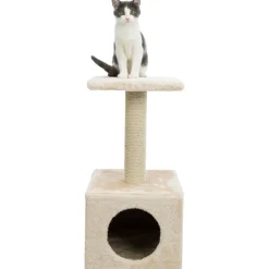 TRIXIE Junior Kratzbaum Zamora, beige | 60 cm