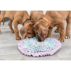 TRIXIE Junior Schnüffelteppich | ø 35 cm