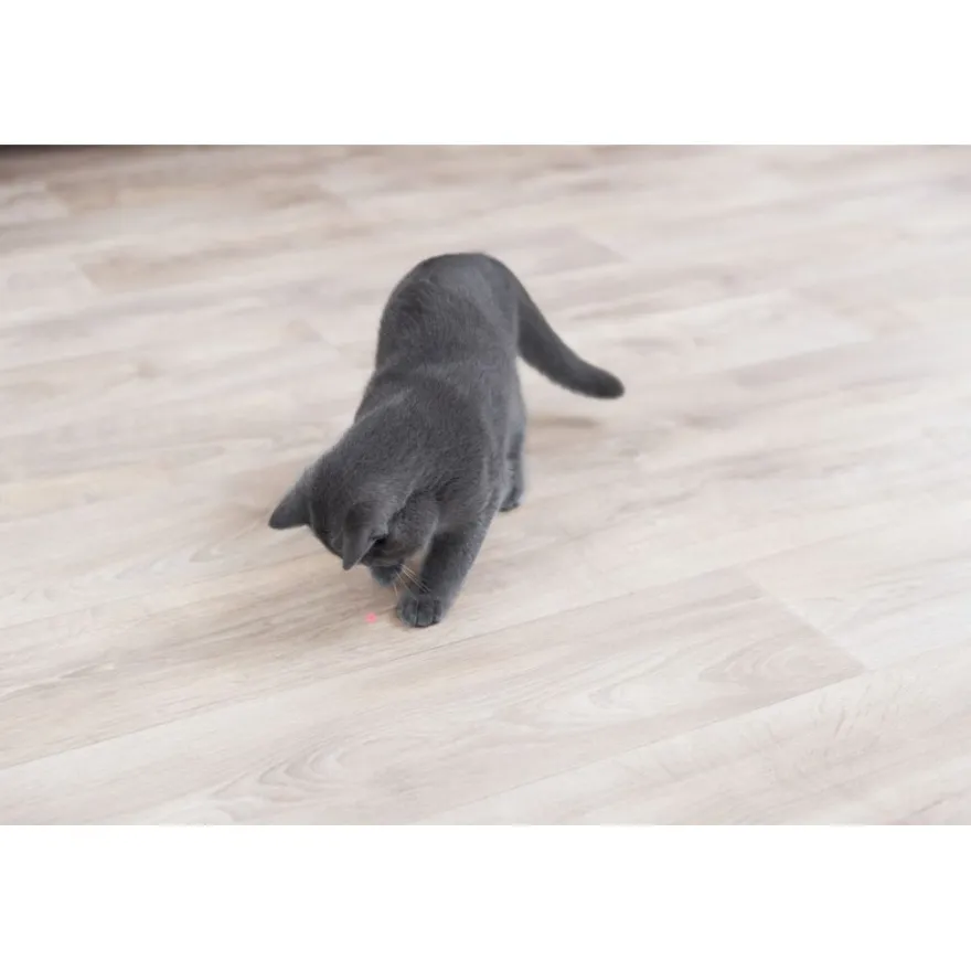 TRIXIE Laserpointer Moving Light, weiß/blau | 11 cm