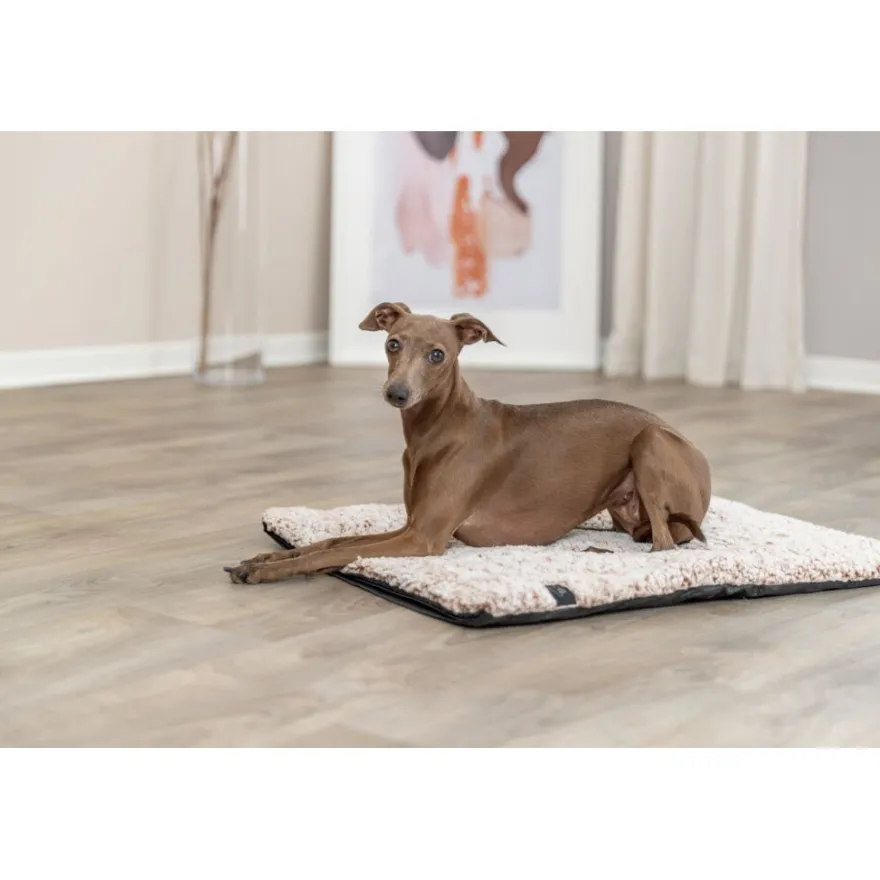 TRIXIE Liegematte Calida mit wärmereflektierender Einlage, eckig, weiß-braun | 80 x 55 cm