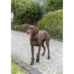 TRIXIE Pfotenschutz Walker Active Long, schwarz | ø 7.5-8 cm