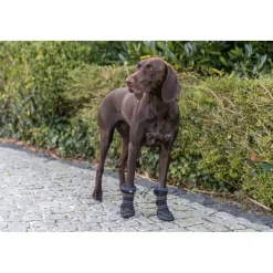 TRIXIE Pfotenschutz Walker Active Long, schwarz | ø 7.5-8 cm