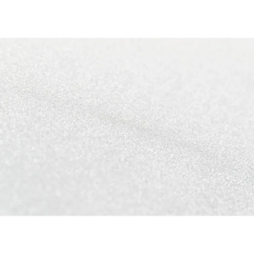 TRIXIE Teleskop-Rampe, Aluminium/Kunststoff/Sandpapier, grau | 43 x 100-180 cm