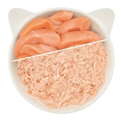 WOW CAT Filet