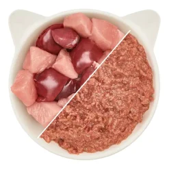 WOW CAT Junior Paté