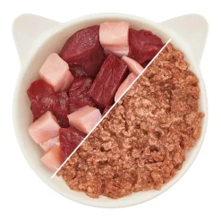 WOW CAT Senior Paté