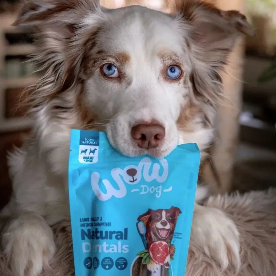 WOW DOG Natural Dentals MAXI | 230 g
